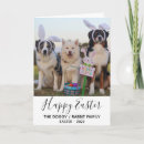 Search for funny dog easter cards Rabbit