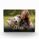 Search for dog memorial photo display In loving memory