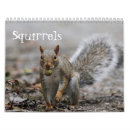 Search for red tails photography Animals