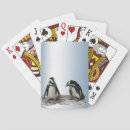 Search for penguins playing cards Birds
