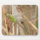 Search for dragonflies mousepads Outdoors