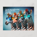 Search for eds postcards Zebra