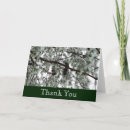 Search for trees photo cards Winter