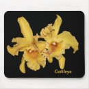 Search for black orchids mousepads For her