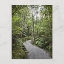 Search for based postcards Nature