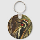 Search for woodpecker key rings Ornithology