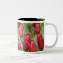 Search for lisse mugs Dutch