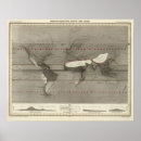 Search for precipitation Climate