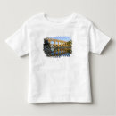 Search for aqueduct tshirts Architecture
