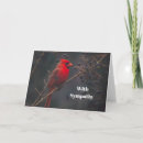 Search for cardinal sympathy cards Red