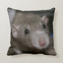Search for rat cushions Animal