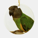 Search for parrot christmas tree decorations Senegal