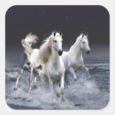 Search for horse running stickers Horses