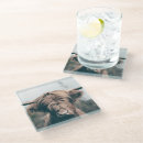 Search for cow coasters Portrait