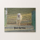 Search for labrador retriever puzzles Pet