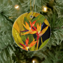 Search for paradise christmas tree decorations bird of paradise