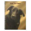 Search for lab notebooks Dogs