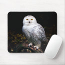 Search for snowy owl electronics Bird