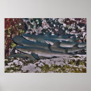 Search for tip art Underwater
