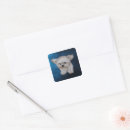 Search for fluffy puppy stickers Dog lover