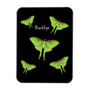 Search for moths magnets Luna moth