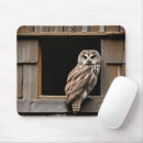 Search for barred owl electronics Bird