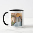 Search for national forest mugs California
