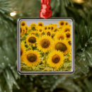 Search for field christmas tree decorations Summer