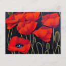 Search for planted postcards Poppy