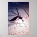 Search for biting posters Insect