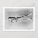 Search for swinging postcards Woman