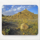 Search for alberta electronics Scenic