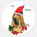 Search for bloodhound stickers Dog