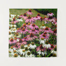 Search for aromas art Bloom