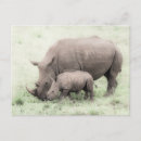 Search for endangered animals postcards Wild