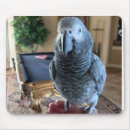 Search for african grey electronics Parrot