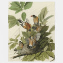 Search for robin bird blankets Illustration