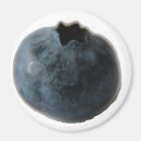 Search for berry magnets Round