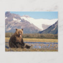 Search for omnivorous postcards Environment