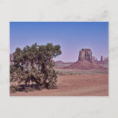 Search for erosion postcards Arizona