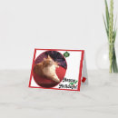 Search for cat adoption cards Kitty
