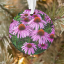 Search for bloom christmas tree decorations Bouquet
