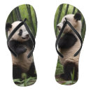 Search for panda thongs Bamboo