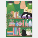 Search for bottle magnets Cat