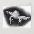 Search for jump for joy invitations Frog