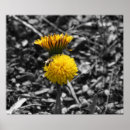 Search for in early spring posters Nature