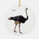 Search for ostrich christmas tree decorations Bird