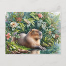 Search for capybara postcards Nature