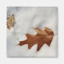 Search for oak leaf magnets Brown