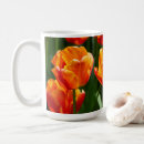Search for orange tulip mugs Photography